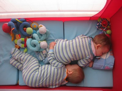 Avui fa un any, timeline d'un naixement