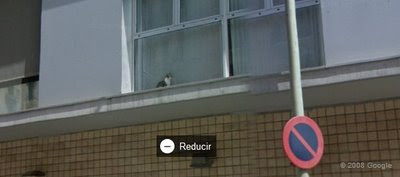 La nostre gateta al Google Street View