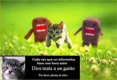 No mateu als pobres gatets